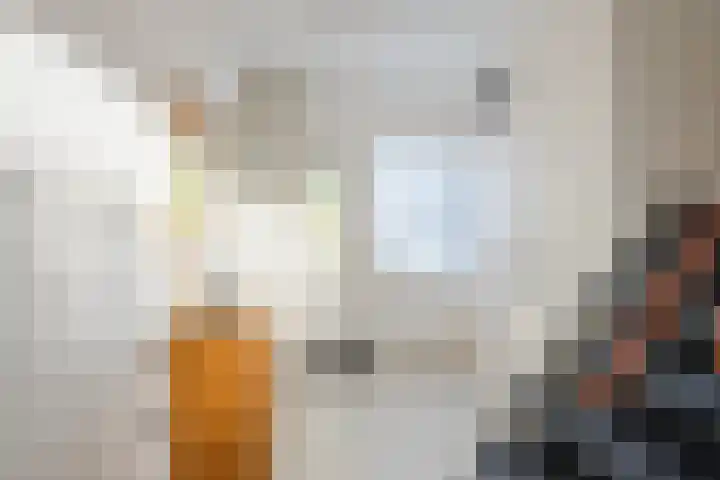 Boekweitlaan 24 Hoogeveen thumbnail 15