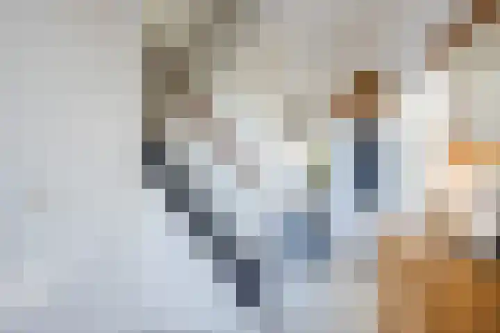 Boekweitlaan 24 Hoogeveen thumbnail 20