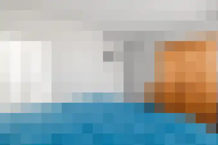 Boekweitlaan 24 Hoogeveen thumbnail 24