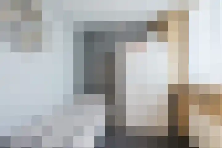 Boekweitlaan 24 Hoogeveen thumbnail 26