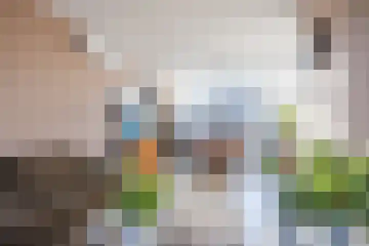 Boekweitlaan 24 Hoogeveen thumbnail 4