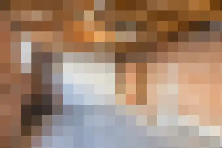 Boekweitlaan 24 Hoogeveen thumbnail 44