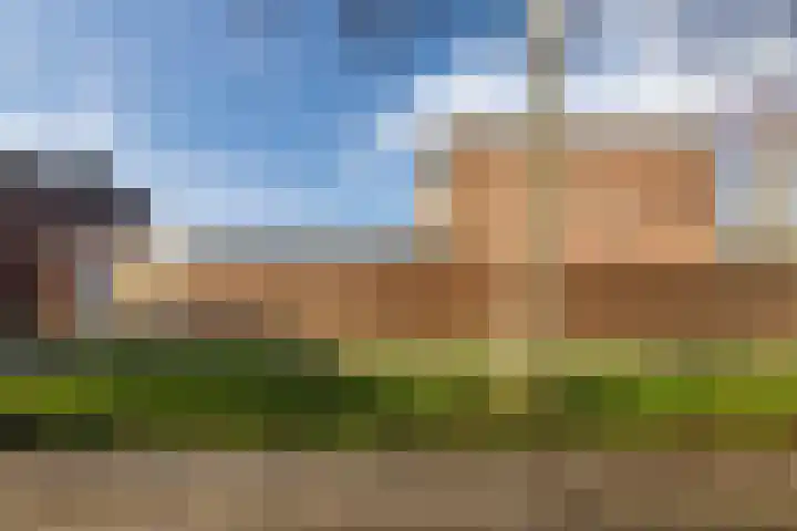 Boekweitlaan 24 Hoogeveen thumbnail 47