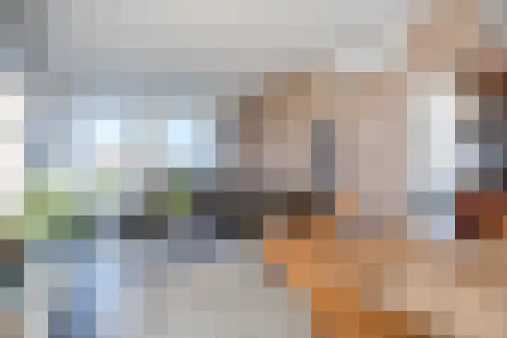 Boekweitlaan 24 Hoogeveen thumbnail 5
