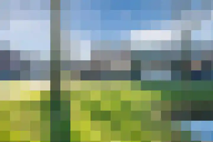 Boekweitlaan 24 Hoogeveen thumbnail 54