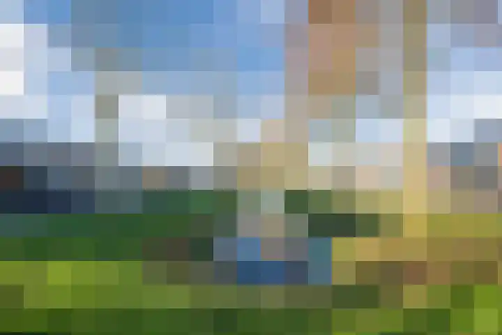 Boekweitlaan 24 Hoogeveen thumbnail 55