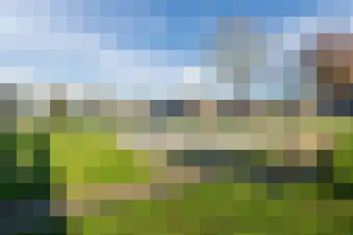 Boekweitlaan 24 Hoogeveen thumbnail 56