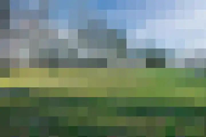 Boekweitlaan 24 Hoogeveen thumbnail 57