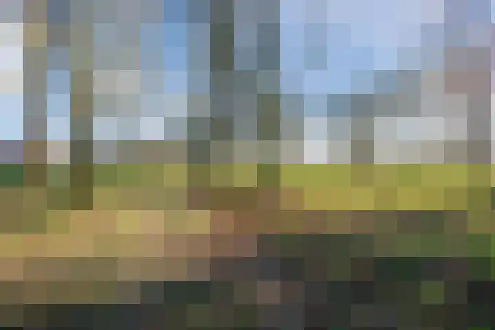 Boekweitlaan 24 Hoogeveen thumbnail 58