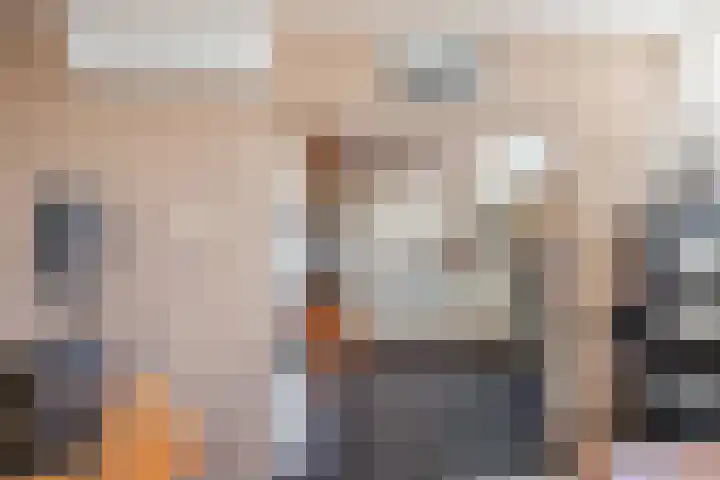 Boekweitlaan 24 Hoogeveen thumbnail 6