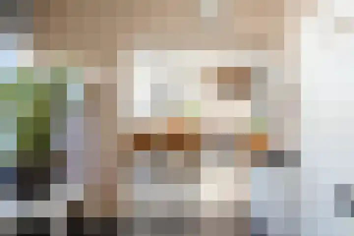 Boekweitlaan 24 Hoogeveen thumbnail 9
