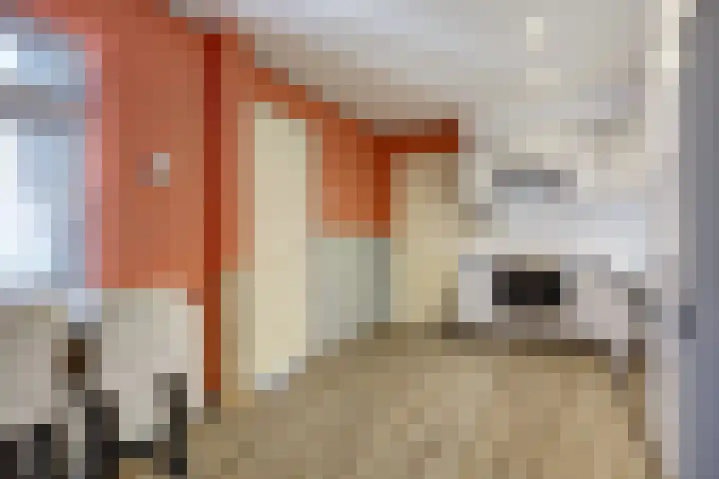 Boekweitlaan 40 Hoogeveen thumbnail 13