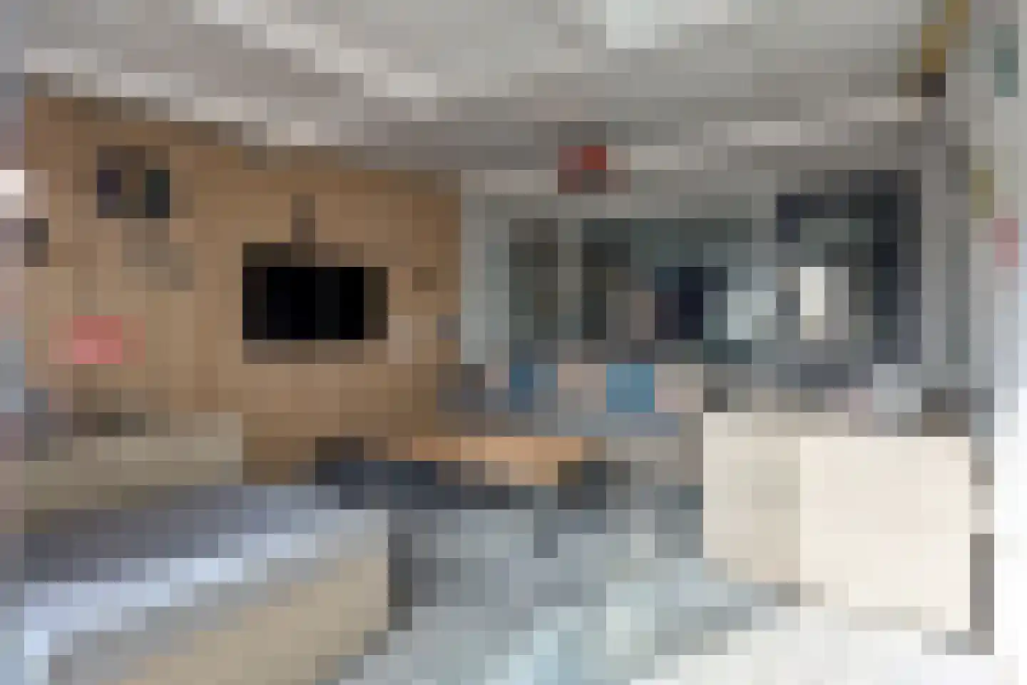 Boekweitlaan 40 Hoogeveen thumbnail 17