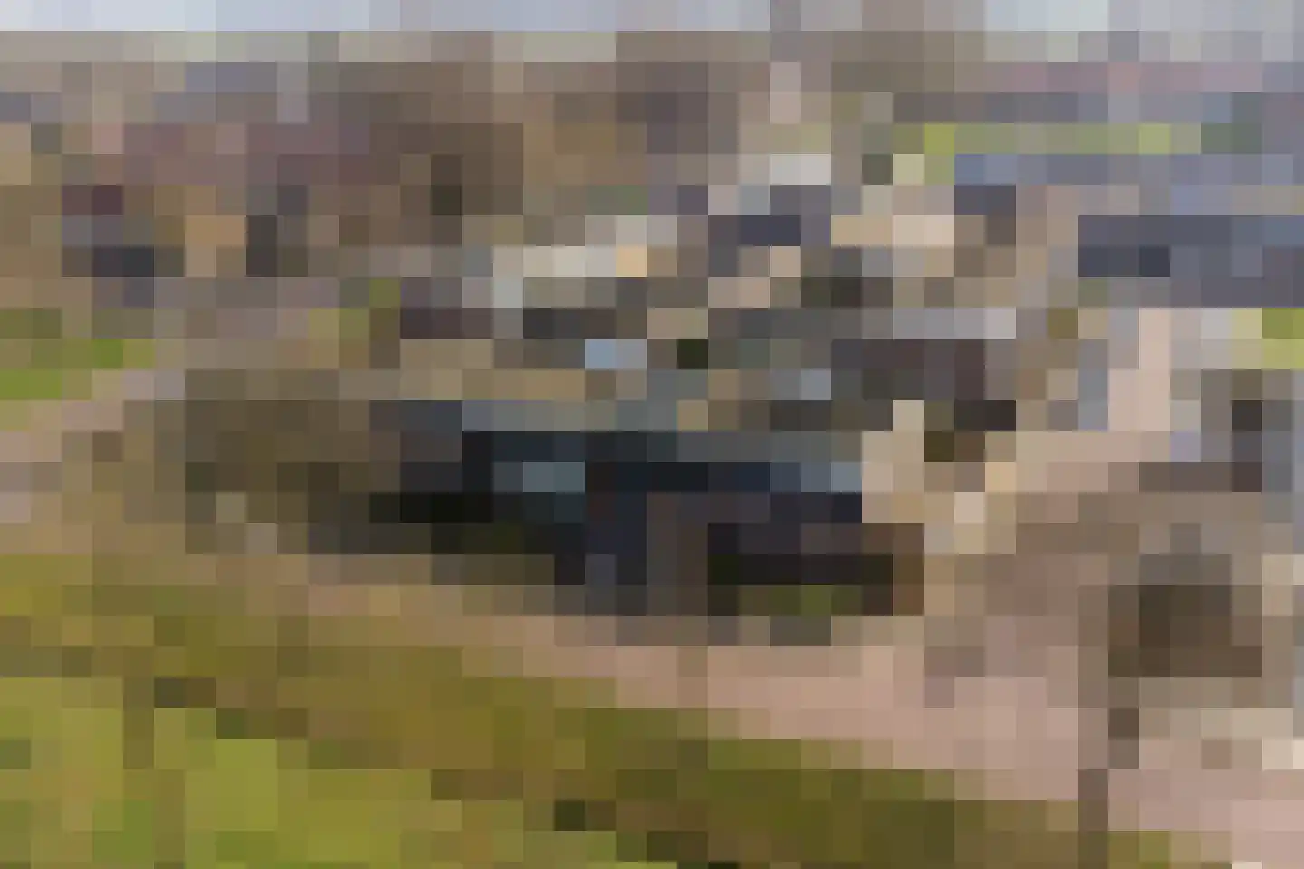 Boekweitlaan 40 Hoogeveen thumbnail 35