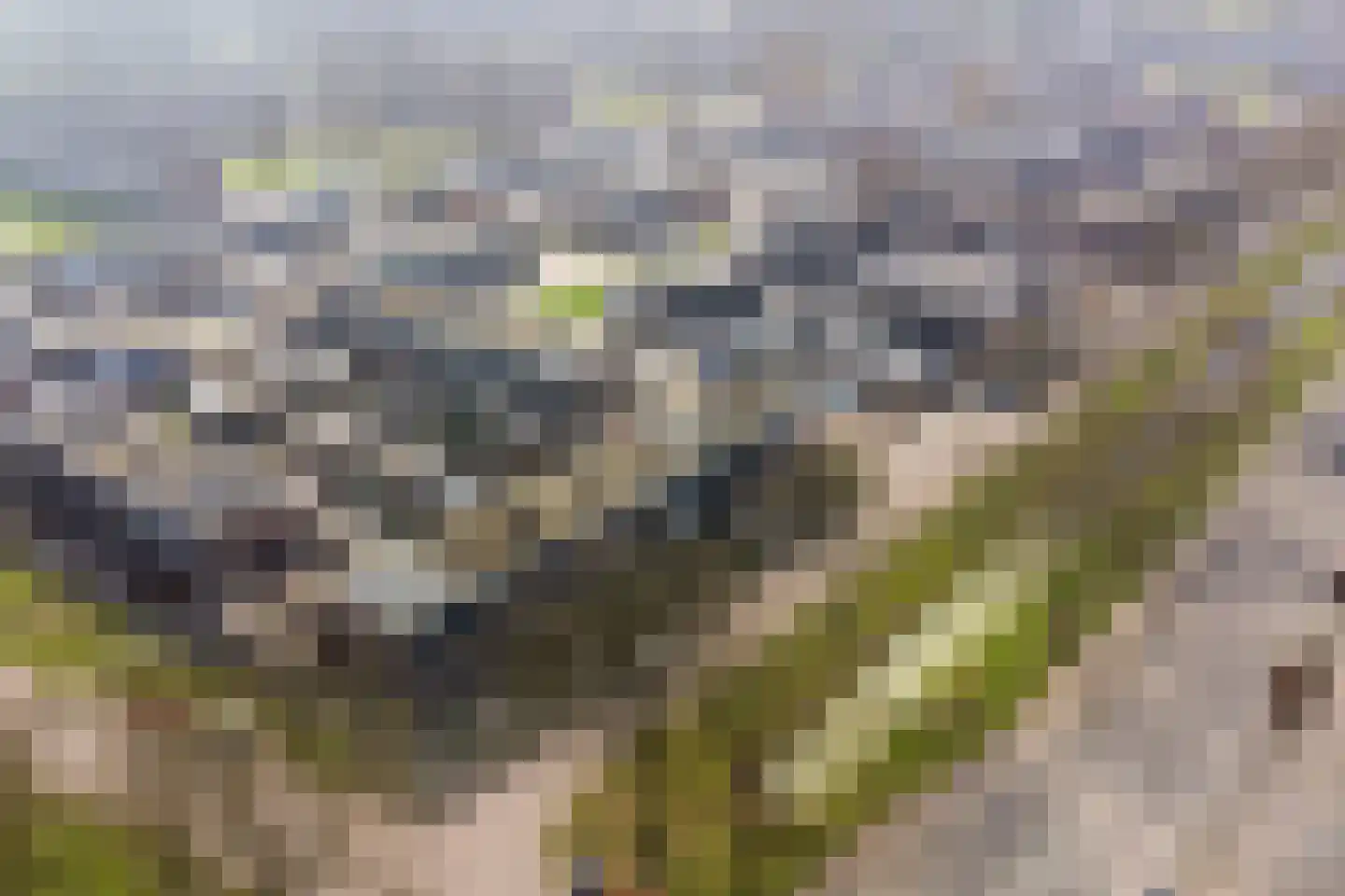Boekweitlaan 40 Hoogeveen thumbnail 36