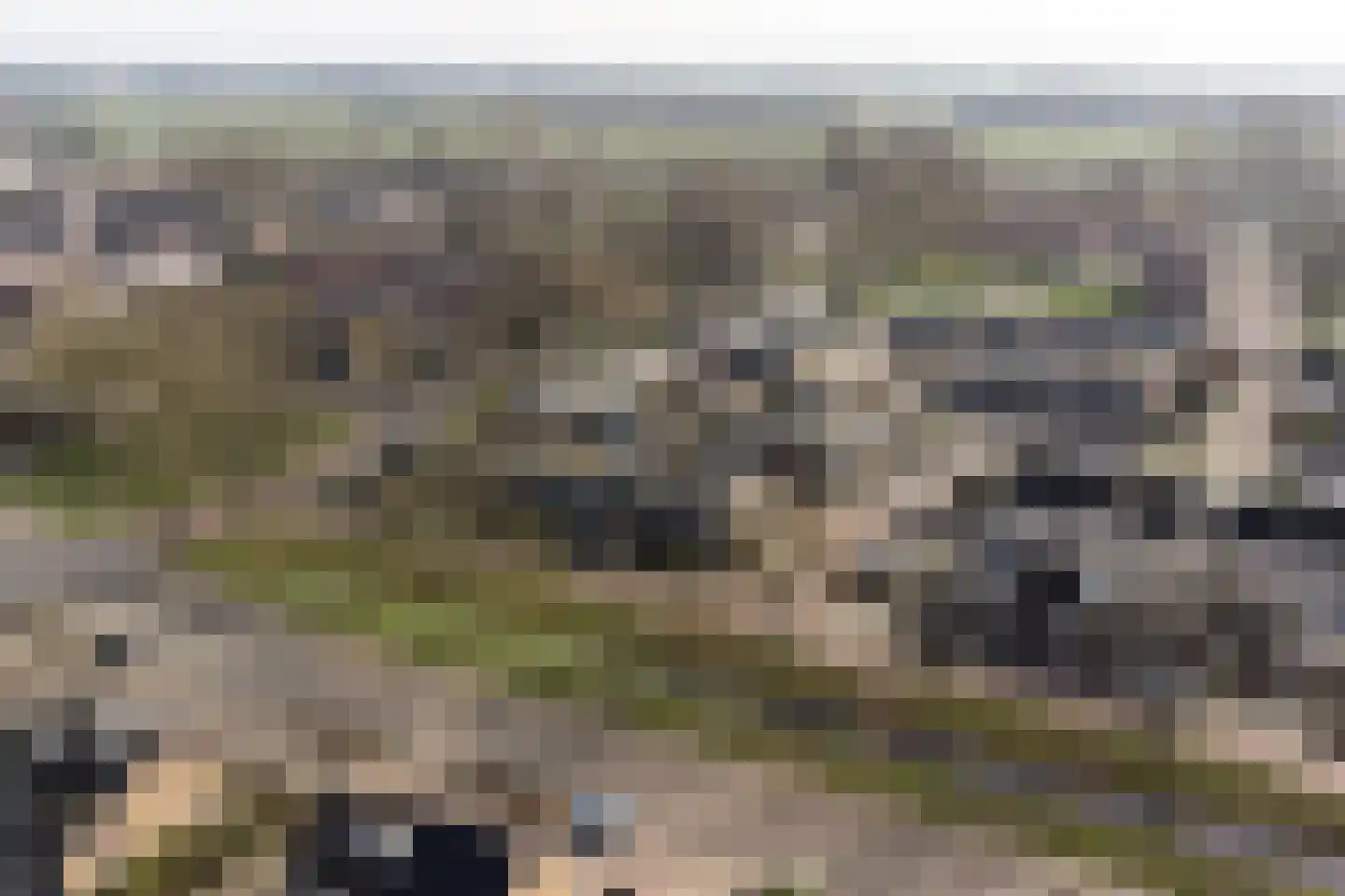 Boekweitlaan 40 Hoogeveen thumbnail 38