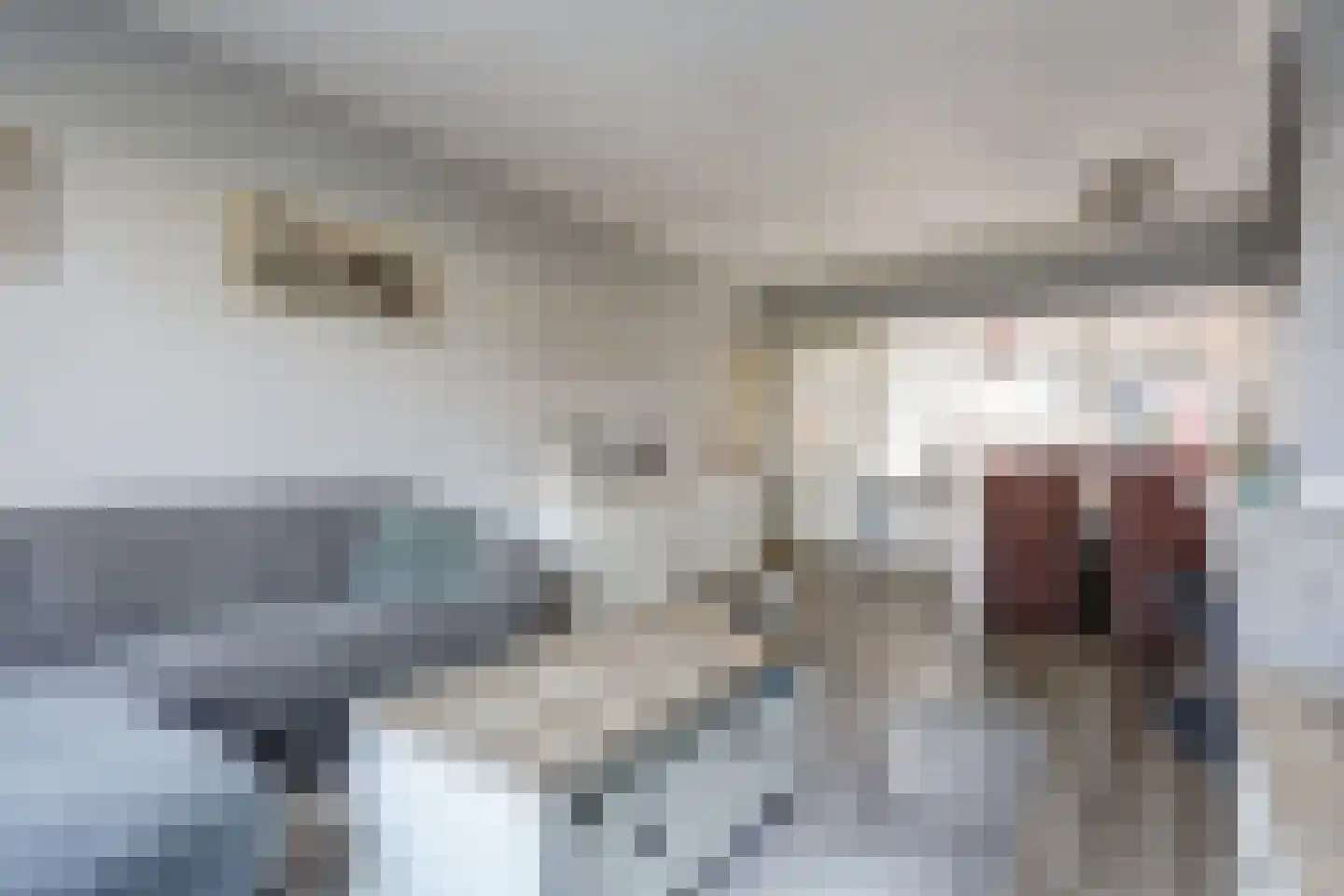 Boekweitlaan 40 Hoogeveen thumbnail 8