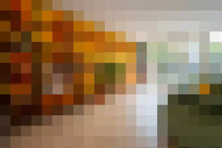 Boekweitland 12 Leusden thumbnail 14