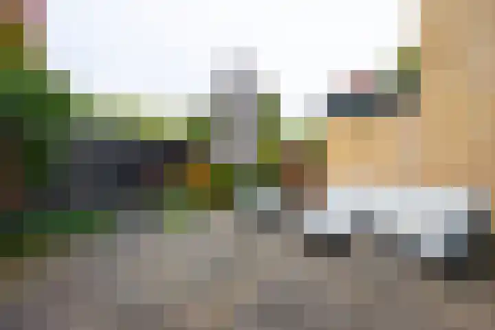 Boekweitland 12 Leusden thumbnail 28