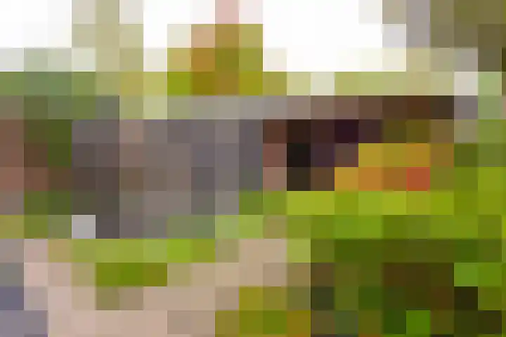 Boekweitland 12 Leusden thumbnail 31