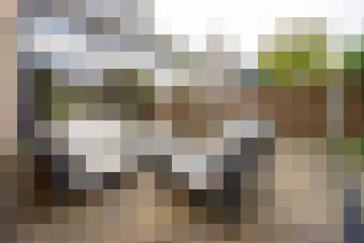 Boekweitland 12 Leusden thumbnail 32