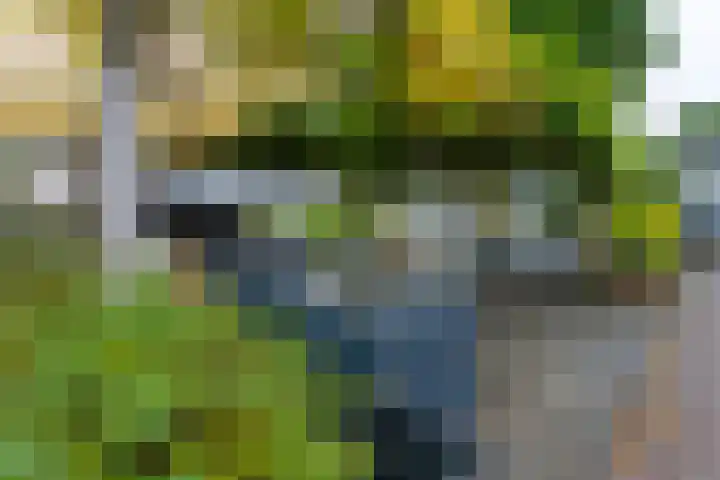Boekweitland 12 Leusden thumbnail 37