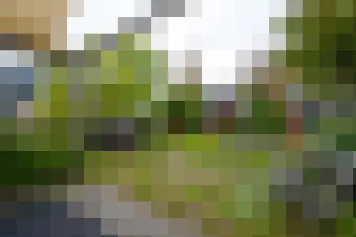 Boekweitland 12 Leusden thumbnail 38