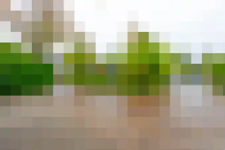 Boekweitland 12 Leusden thumbnail 40