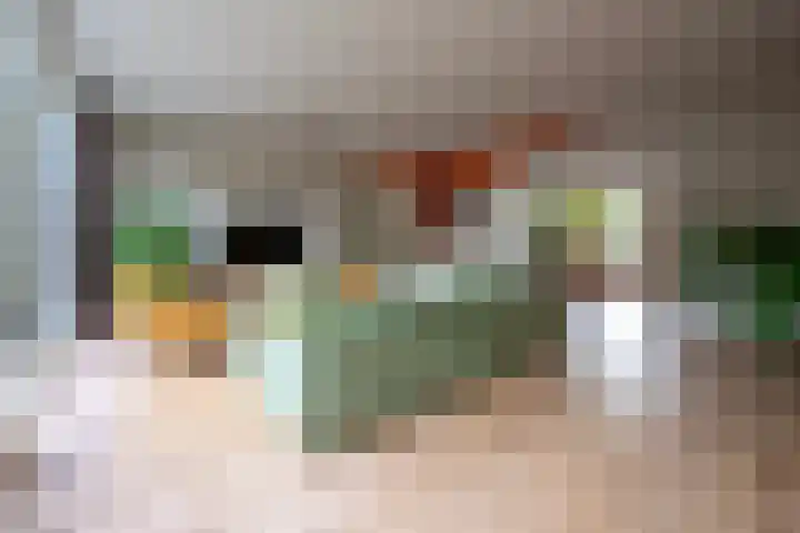 Boekweitland 12 Leusden thumbnail 6