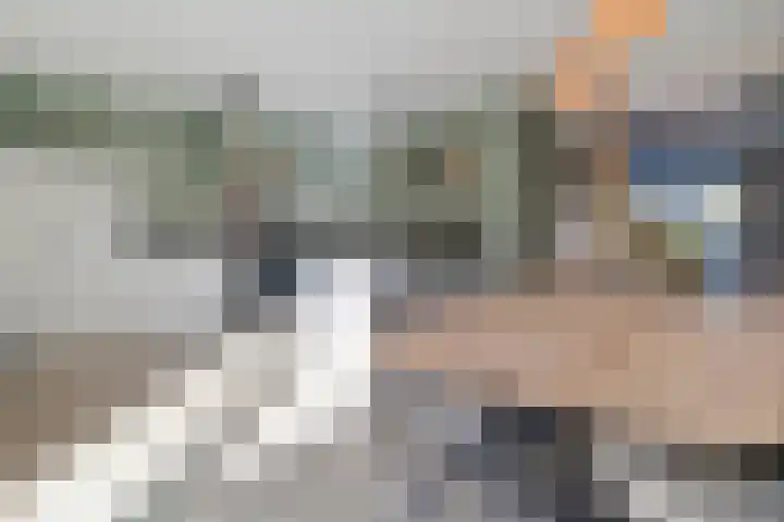Boekweitland 27 Dalfsen thumbnail 12