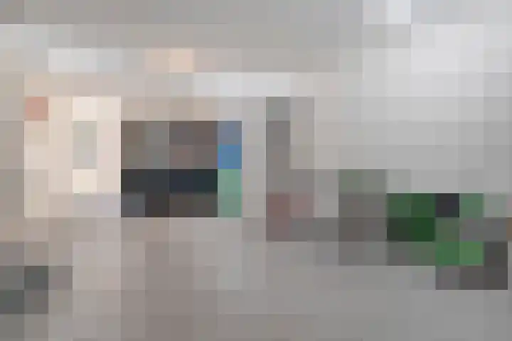 Boekweitland 27 Dalfsen thumbnail 16