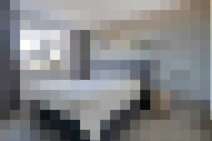 Boekweitland 27 Dalfsen thumbnail 22