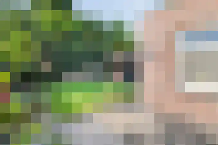 Boekweitland 27 Dalfsen thumbnail 35