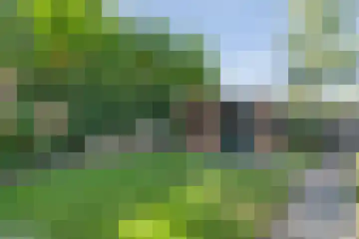 Boekweitland 27 Dalfsen thumbnail 36