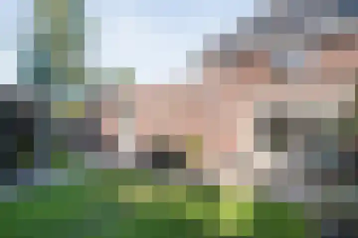 Boekweitland 27 Dalfsen thumbnail 37