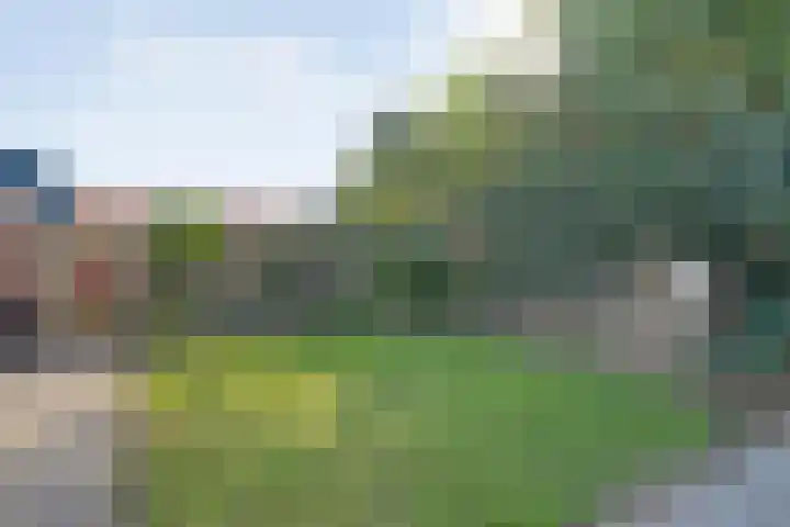 Boekweitland 27 Dalfsen thumbnail 40
