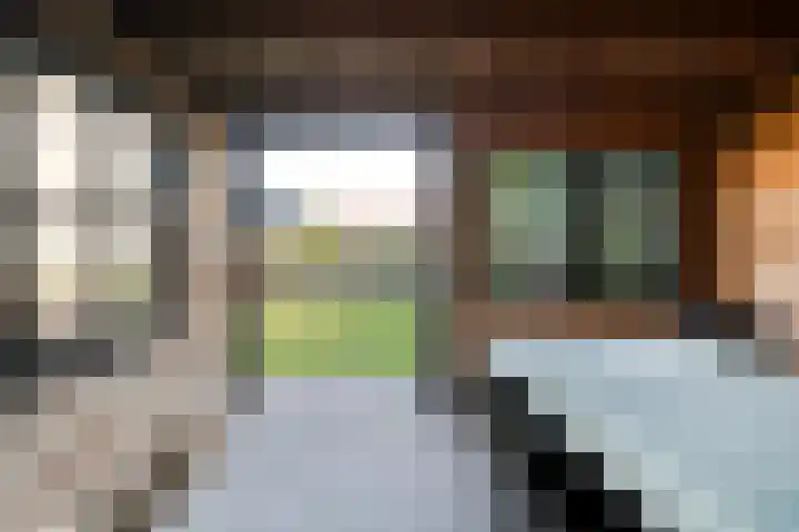 Boekweitland 27 Dalfsen thumbnail 43