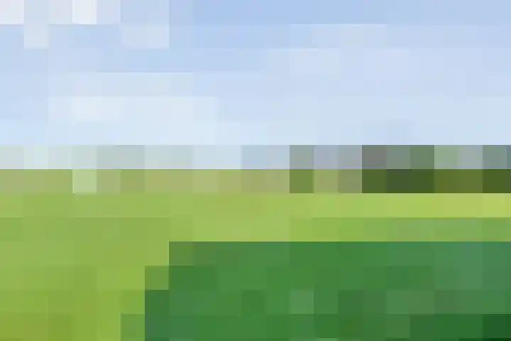 Boekweitland 27 Dalfsen thumbnail 44