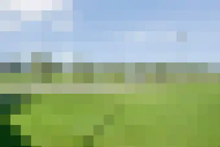 Boekweitland 27 Dalfsen thumbnail 45