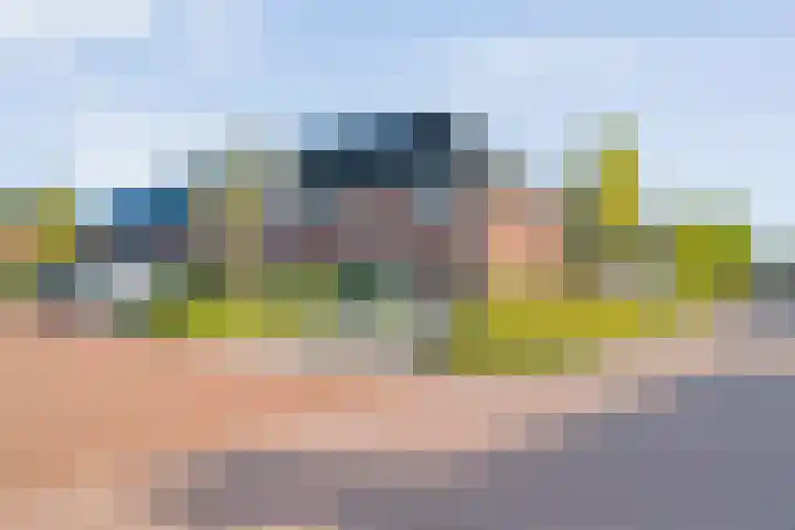 Boekweitland 27 Dalfsen thumbnail 47
