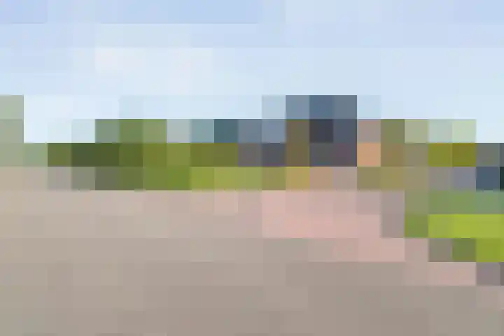 Boekweitland 27 Dalfsen thumbnail 48
