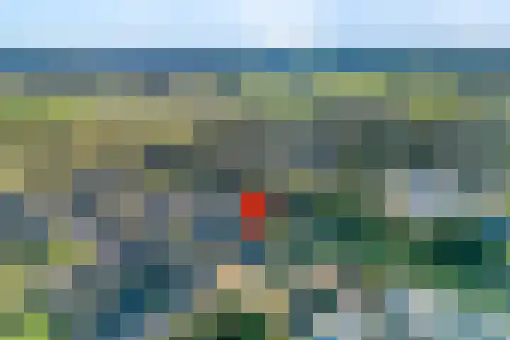 Boekweitland 27 Dalfsen thumbnail 49
