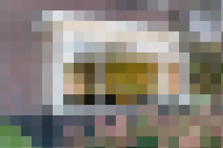 Boekweitland 27 Dalfsen thumbnail 5