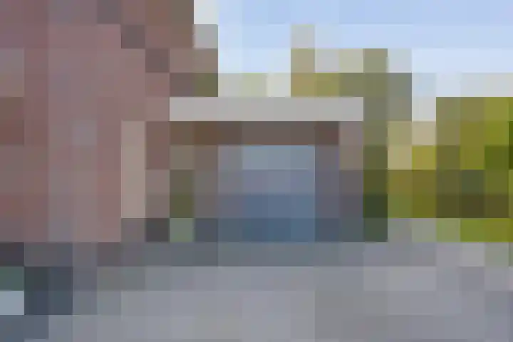 Boekweitland 27 Dalfsen thumbnail 6