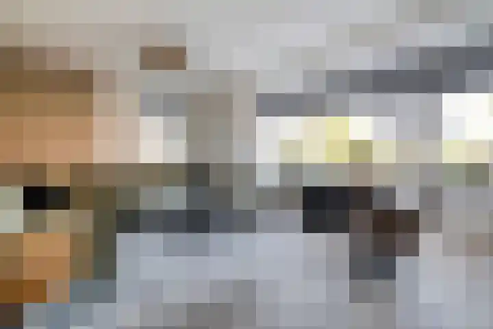 Boekweitland 27 Dalfsen thumbnail 9