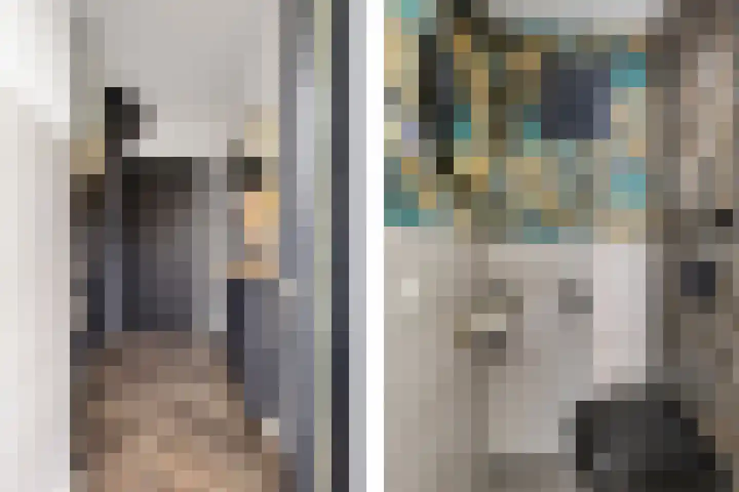 Boekweitpaed 44 Ureterp thumbnail 13