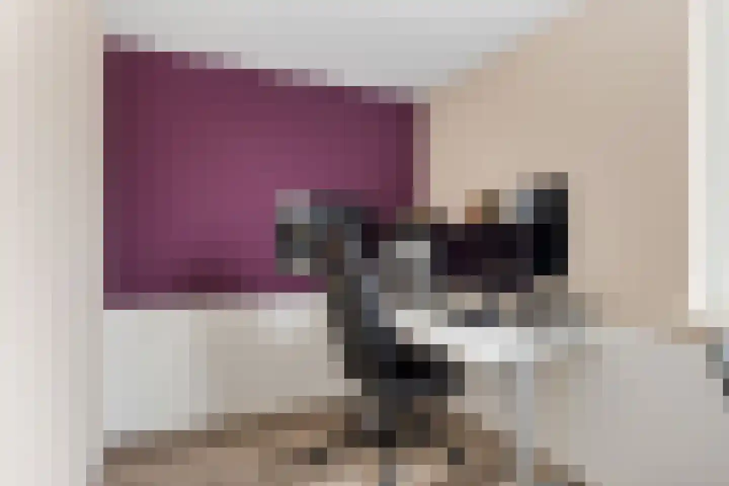 Boekweitpaed 44 Ureterp thumbnail 21