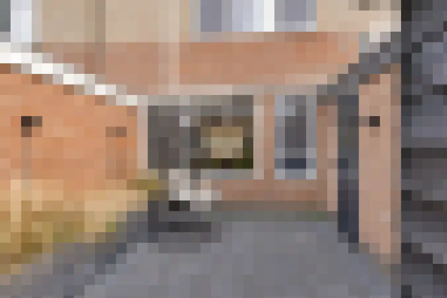 Boekweitpaed 44 Ureterp thumbnail 35