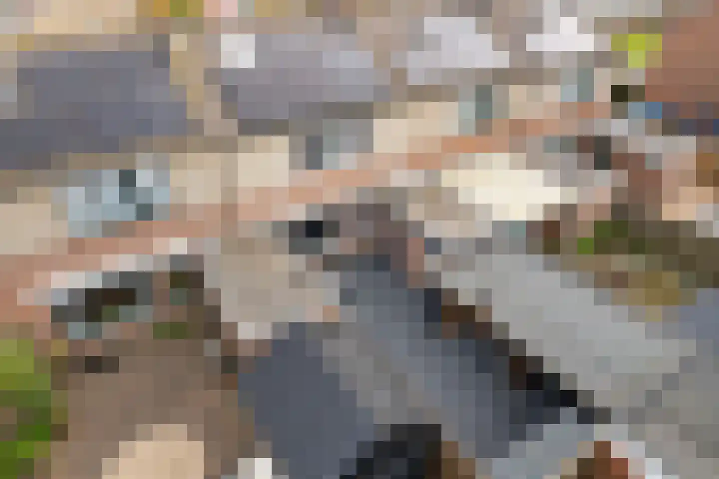 Boekweitpaed 44 Ureterp thumbnail 41