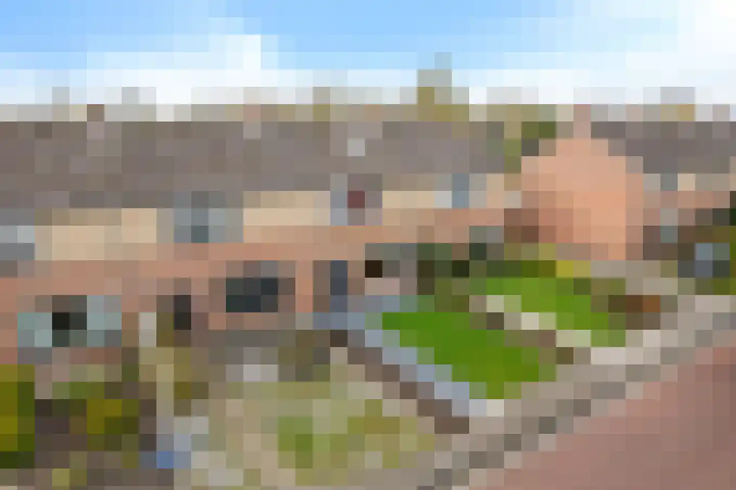 Boekweitpaed 44 Ureterp thumbnail 45